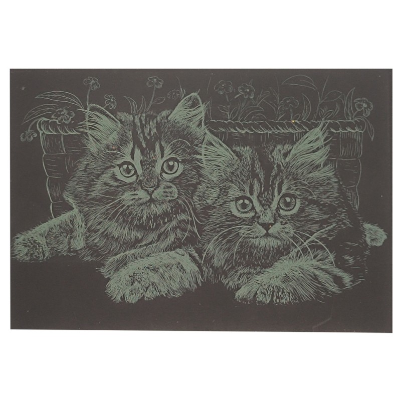 Гравюра А5 "Котики" ГрА5з-3 економ варіант у пакеті 21 х 14,8 см