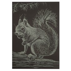 Гравюра А5 "Білочка" ГрА5з-13 економ варіант у пакеті 21 х 14,8 см