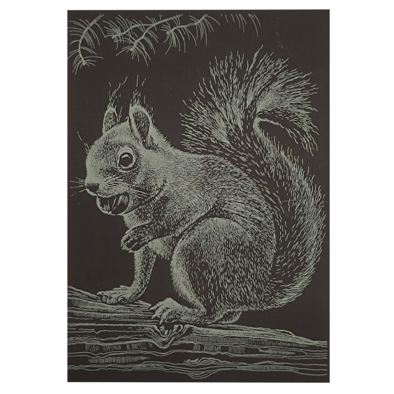 Гравюра А5 "Білочка" ГрА5з-13 економ варіант у пакеті 21 х 14,8 см