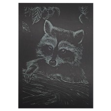 Гравюра А5 "Єнот" ГрА5з-10 економ варіант у пакеті 21 х 14,8 см