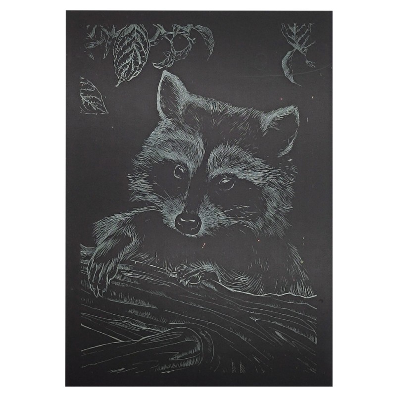 Гравюра А5 "Єнот" ГрА5з-10 економ варіант у пакеті 21 х 14,8 см