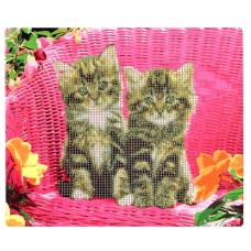 Алмазна мозаїка "Пухнаті близнюки" 178195  картон, неповна викладка 21х25 см