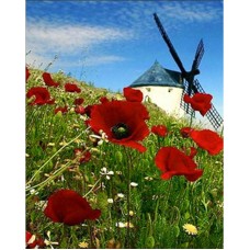 Алмазна мозаїка "Млин" HEG86061, 30х40 см