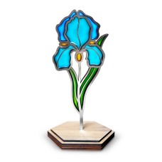 Набір для вітражного живопису за номерами "Ніжний ірис" FDSGK-013