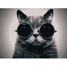 Картина по номерам. Art Craft "Кот Морфиус" 40*50 см 11607-AC