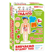Детская развивающая игра на магнитах. Изучаем телосложение 13109081, 22 карточки в наборе