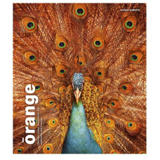 Зошит загальний "Animal palette" 060-3245K-1 в клітинку, 60 аркушів