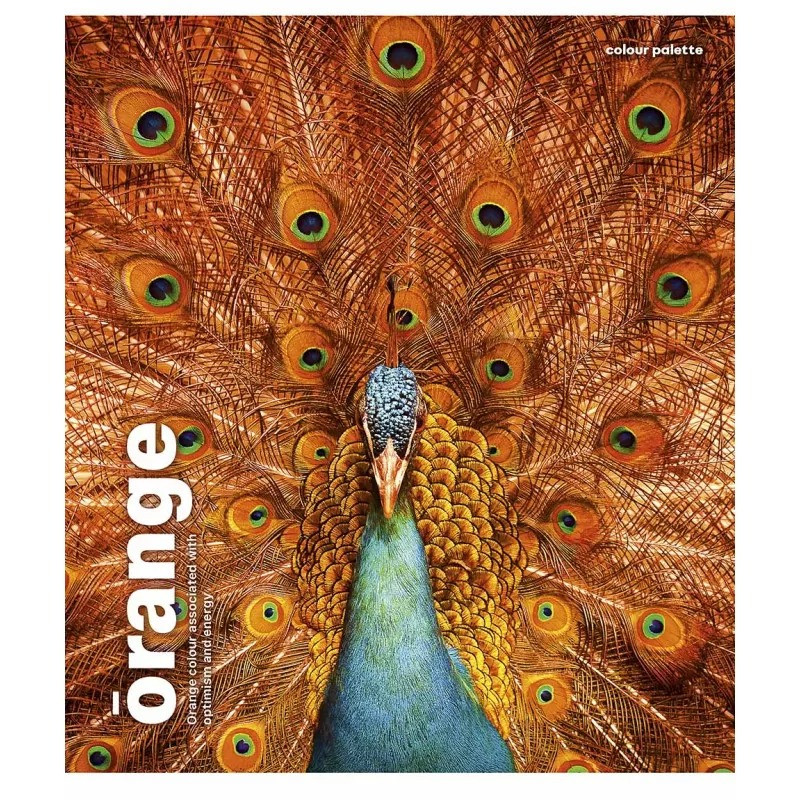 Зошит загальний "Animal palette" 060-3245K-1 в клітинку, 60 аркушів