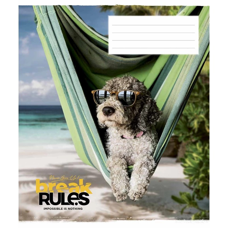 Зошит загальний "Break rules" 036-3220K-3 в клітинку 36 аркушів