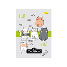 Зошит-словник з іноземної мови "Dream City" АП-0503-2