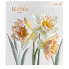 Зошит загальний "Colour Mix" 048-3312K-2 в клітинку, 48 аркушів