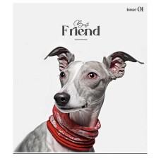 Зошит загальний "Colour Mix" 048-3312K-3 в клітинку, 48 аркушів