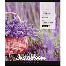 Зошит загальний "Insta life" 096-3389K-5 в клітинку, 96 аркушів