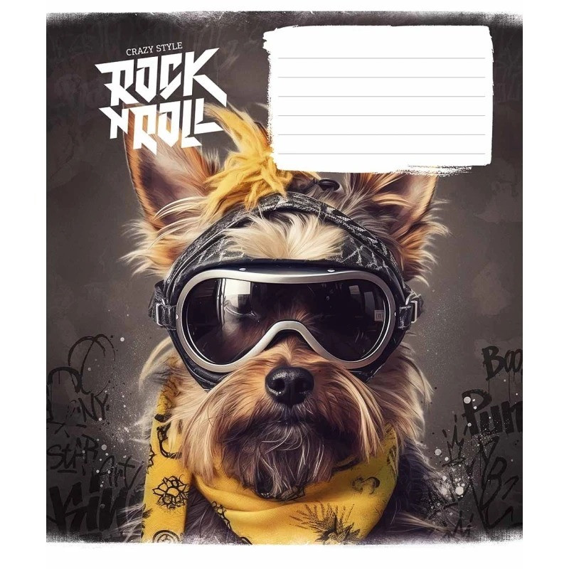 Зошит учнівський "Rock star" 012-3277K-4 в клітинку, 12 аркушів