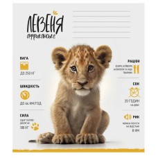 Зошит учнівський "Africa Animals" 012-3279K-1 в клітинку, 12 аркушів