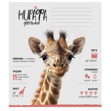 Зошит учнівський "Africa Animals" 012-3279K-3 в клітинку, 12 аркушів