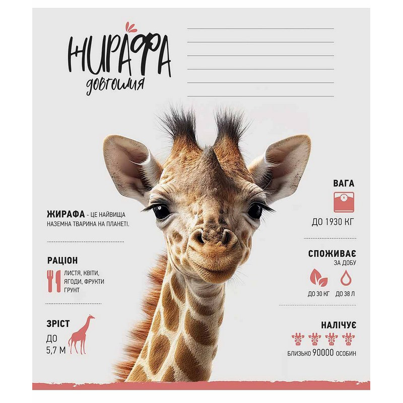 Зошит учнівський "Africa Animals" 012-3279K-3 в клітинку, 12 аркушів