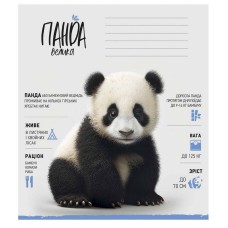 Зошит учнівський "Africa Animals" 012-3279K-4 в клітинку, 12 аркушів