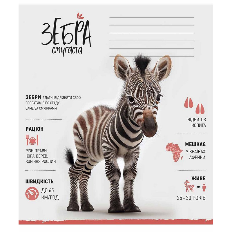 Зошит учнівський "Africa Animals" 012-3279K-5 в клітинку, 12 аркушів