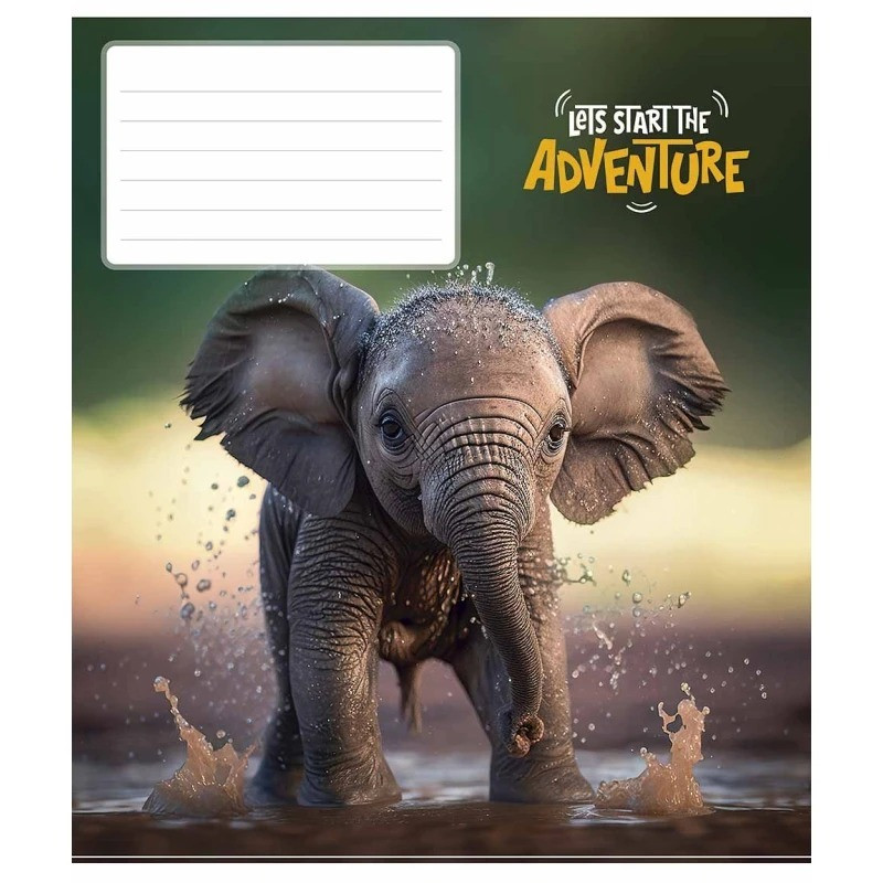 Зошит учнівський "Adventure" 012-3291K-2 в клітинку, 12 аркушів