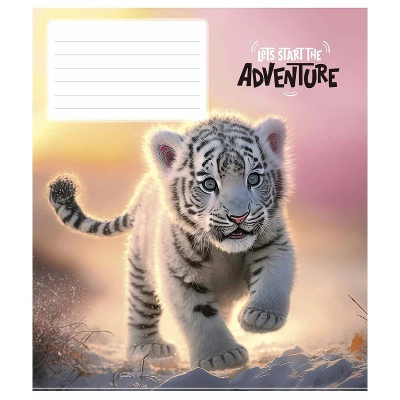 Зошит учнівський "Adventure" 012-3291K-5 в клітинку, 12 аркушів