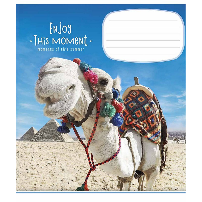 Зошит учнівський "Enjoy this moment" 012-2896L-1 в лінію, 12 аркушів