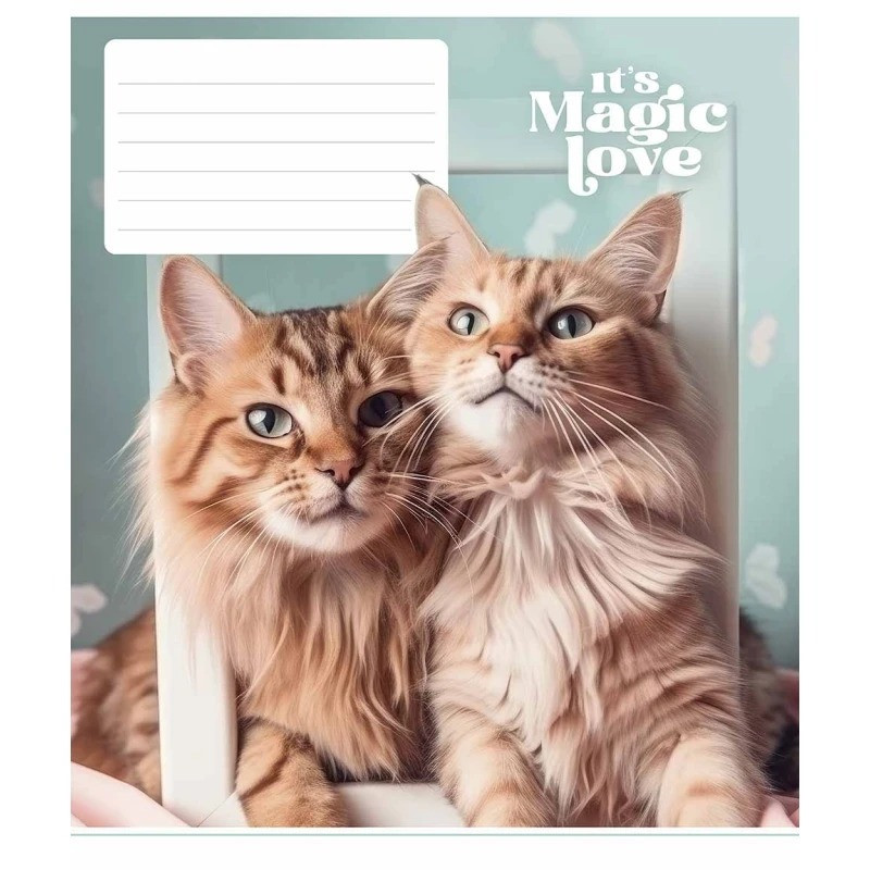 Зошит учнівський "It's a magic love" 012-3300L-4 в лінію, 12 аркушів