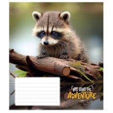 Зошит учнівський "Adventure" 018-3291K-4 в клітинку, 18 аркушів