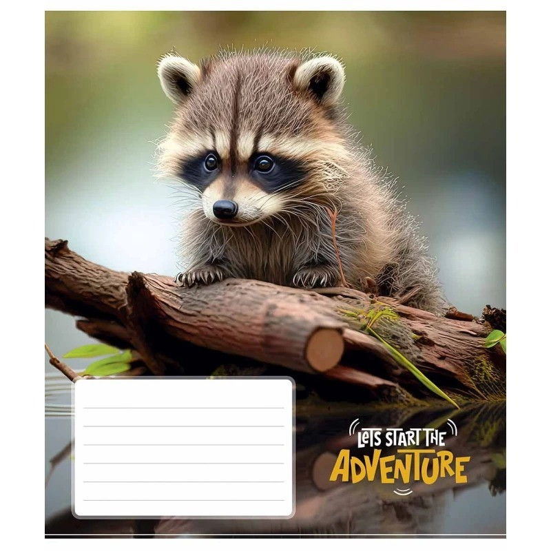 Зошит учнівський "Adventure" 018-3291K-4 в клітинку, 18 аркушів