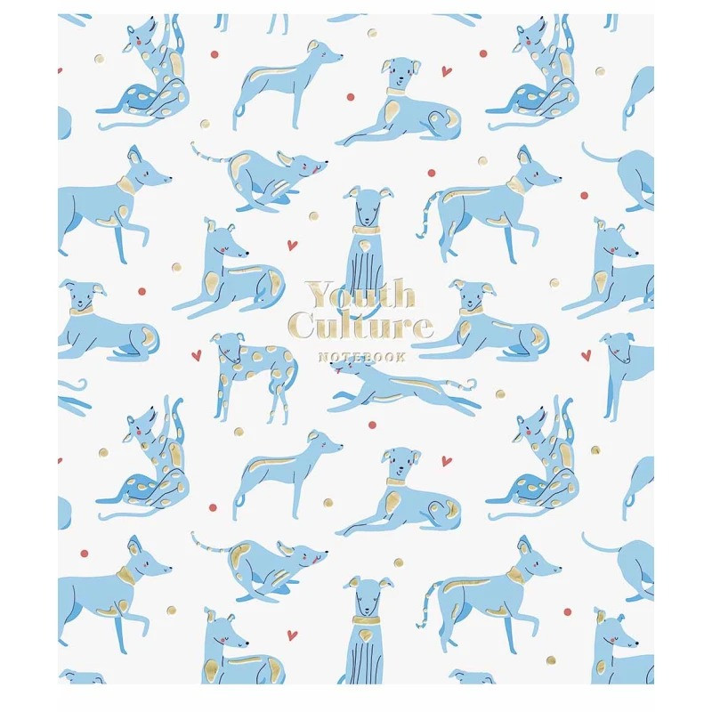 Зошит загальний "Young Culture" 080-3152K-1 в клітинку, 80 аркушів