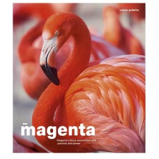 Зошит загальний "Animal palette" 060-3245K-4 в клітинку, 60 аркушів