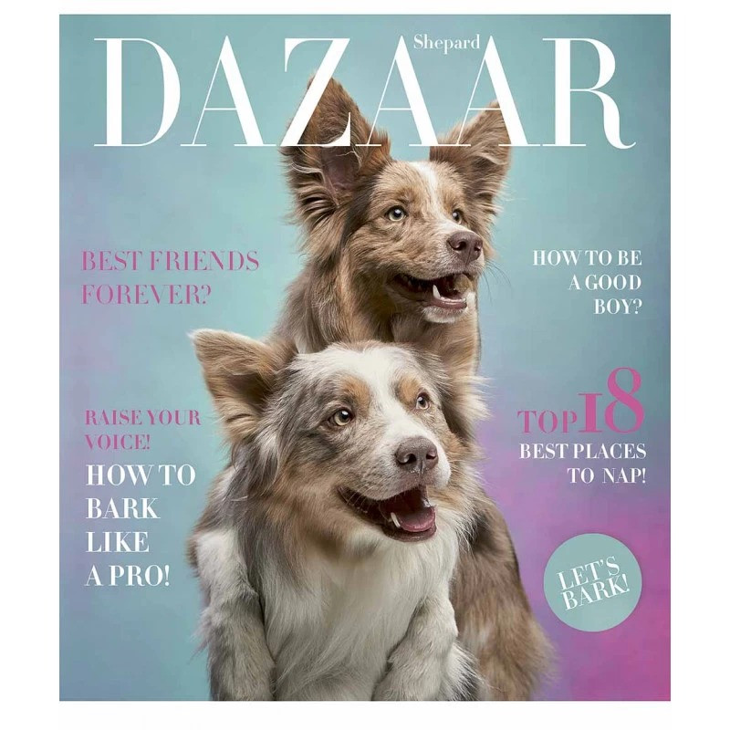 Зошит загальний "Pets magazine" 036-3194K-2 в клітинку 36 аркушів