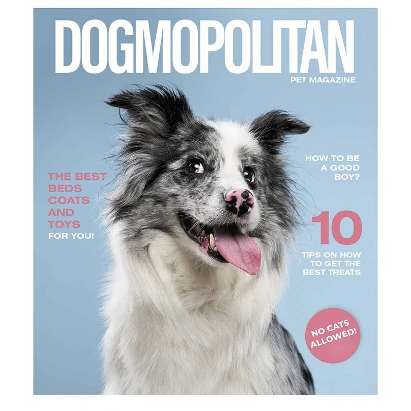 Зошит загальний "Pets magazine" 036-3194K-5 в клітинку 36 аркушів