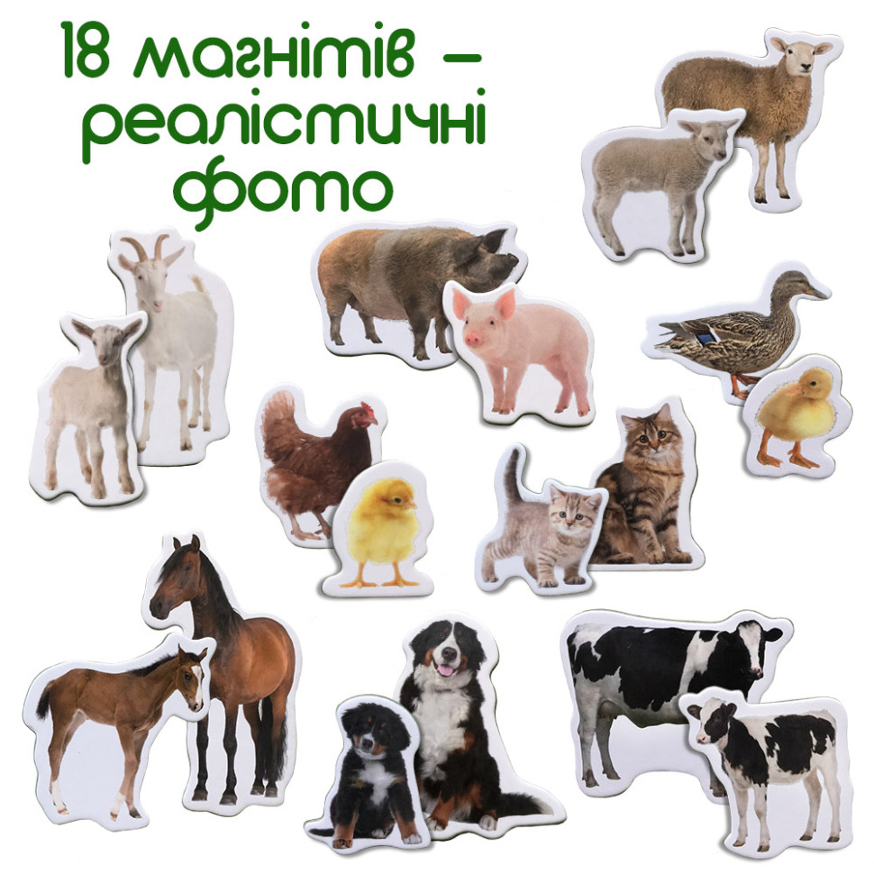 Набір магнітів "Ферма Мами і малюки" ML4031-08 EN 18 магнитів — фото 4