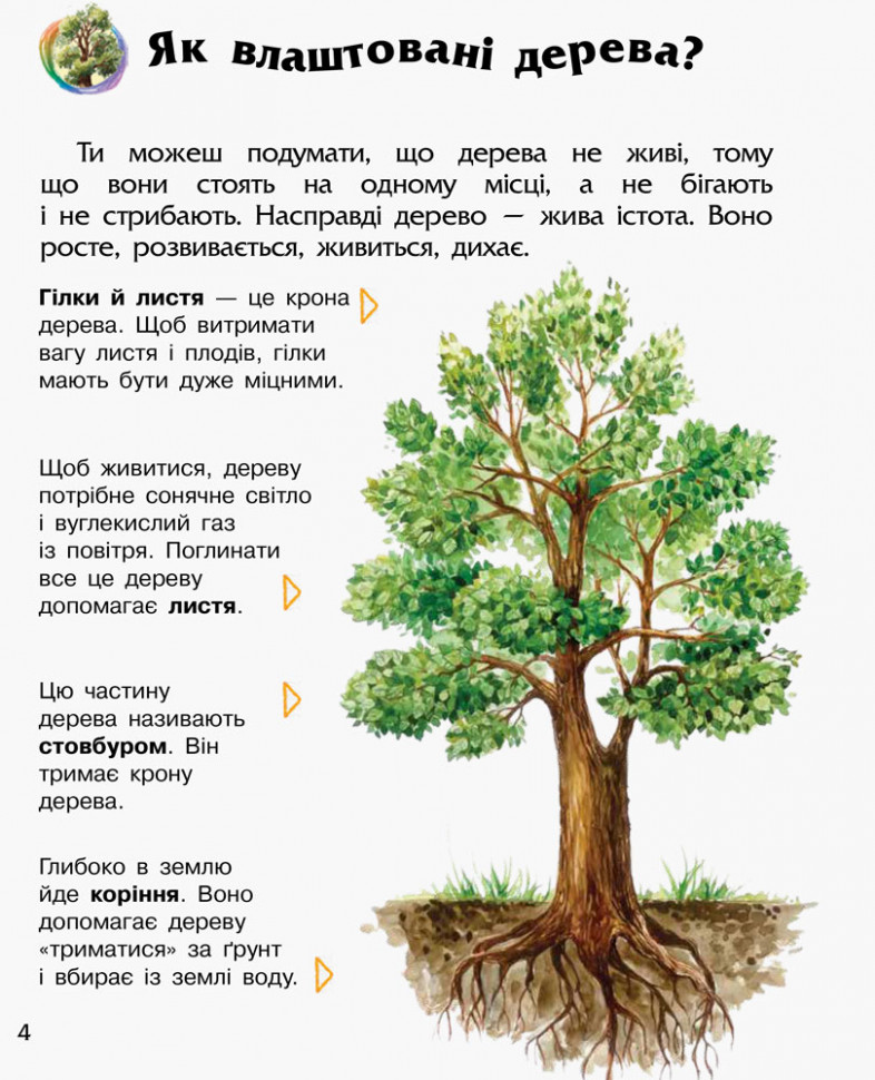 Дитяча енциклопедія про ліс 614016 для дошкільнят — фото 5