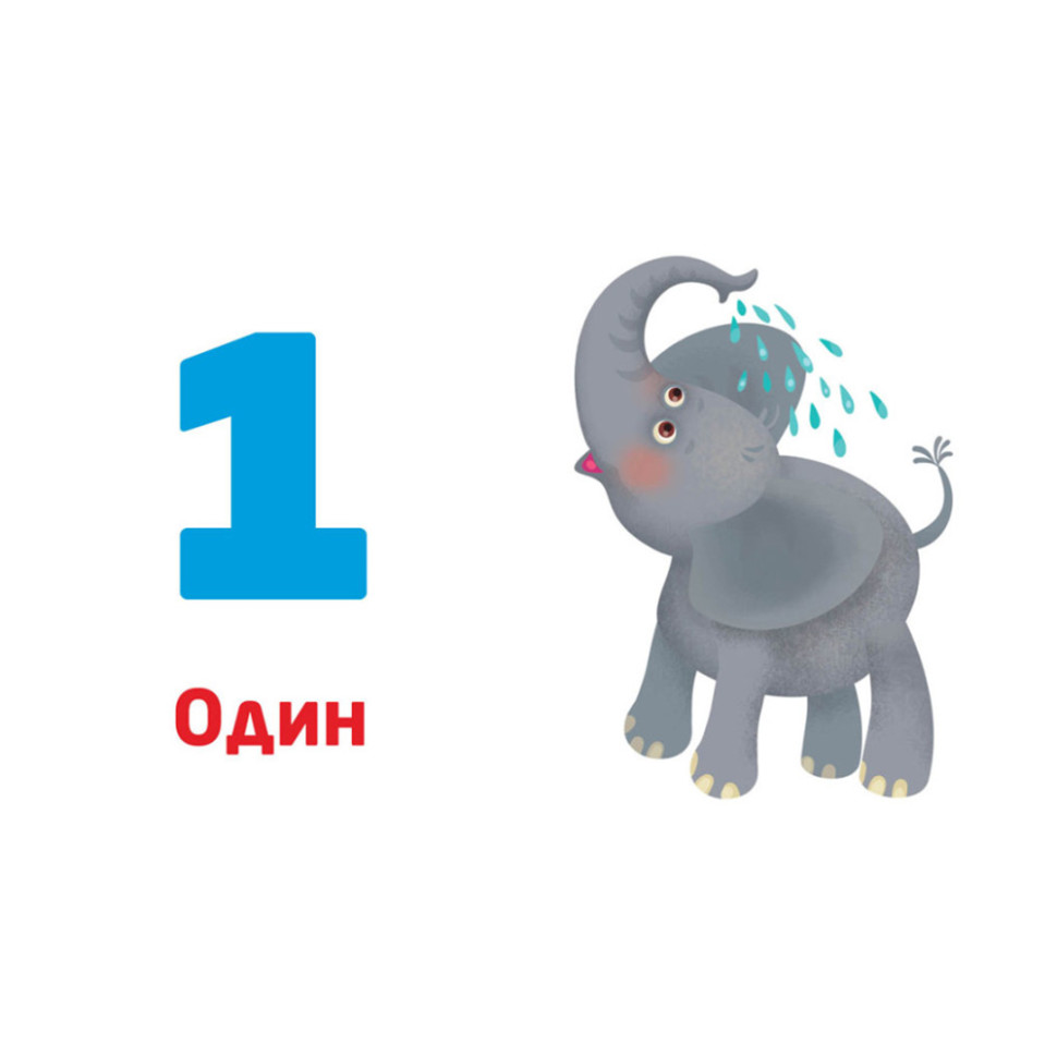 Многокразовые прописи "Цифры и числа" 1155003, 31 карточка — фото 6