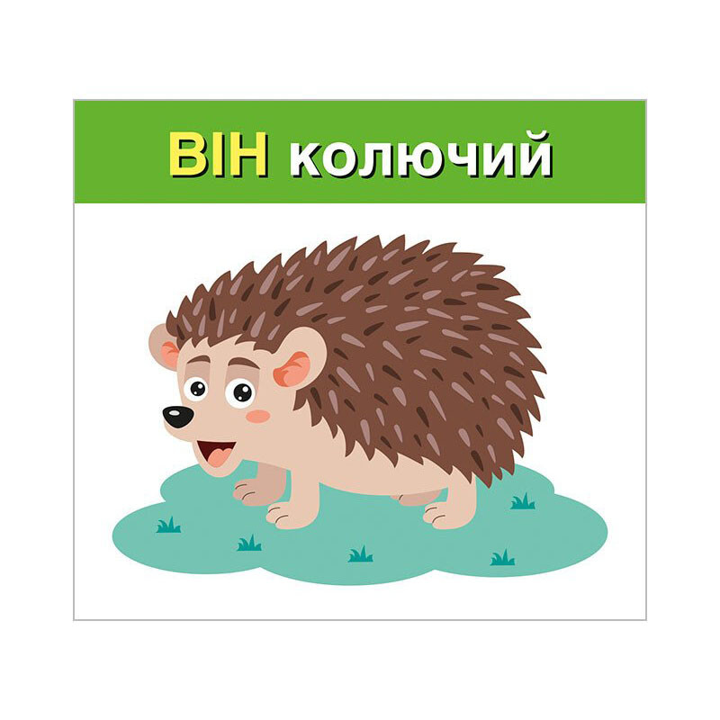 Учебные карточки "Изучаем местоимения ОН, ОНА, ОНО, ОНИ" 10109168, 15 карточек — фото 3