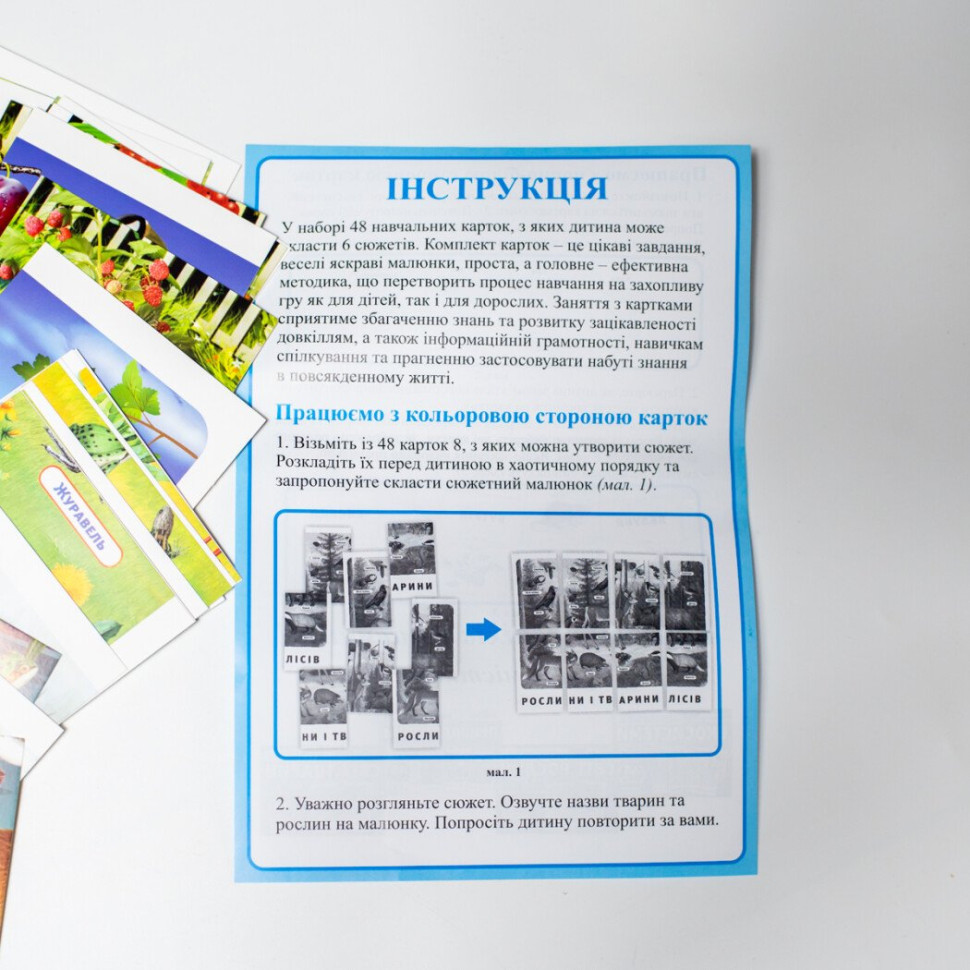 Набір тематичних карток "Екосистеми" 13169003 для дітей 4-6 років — фото 4