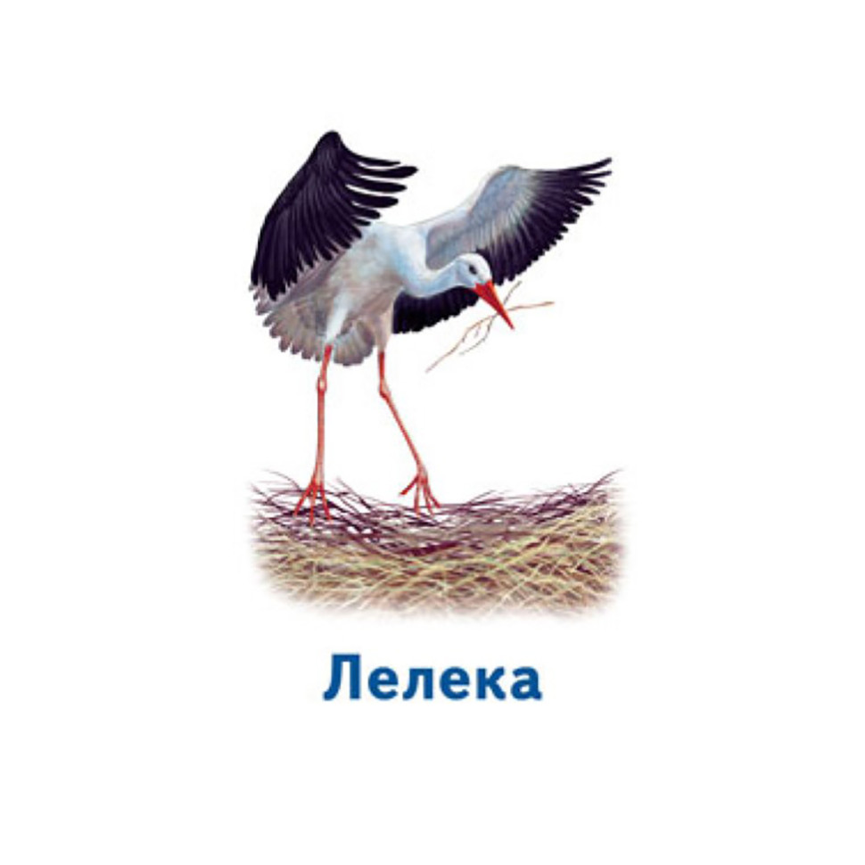 Настільна гра Парочки: Світ тварин 1392003, 6 ігор — фото 6