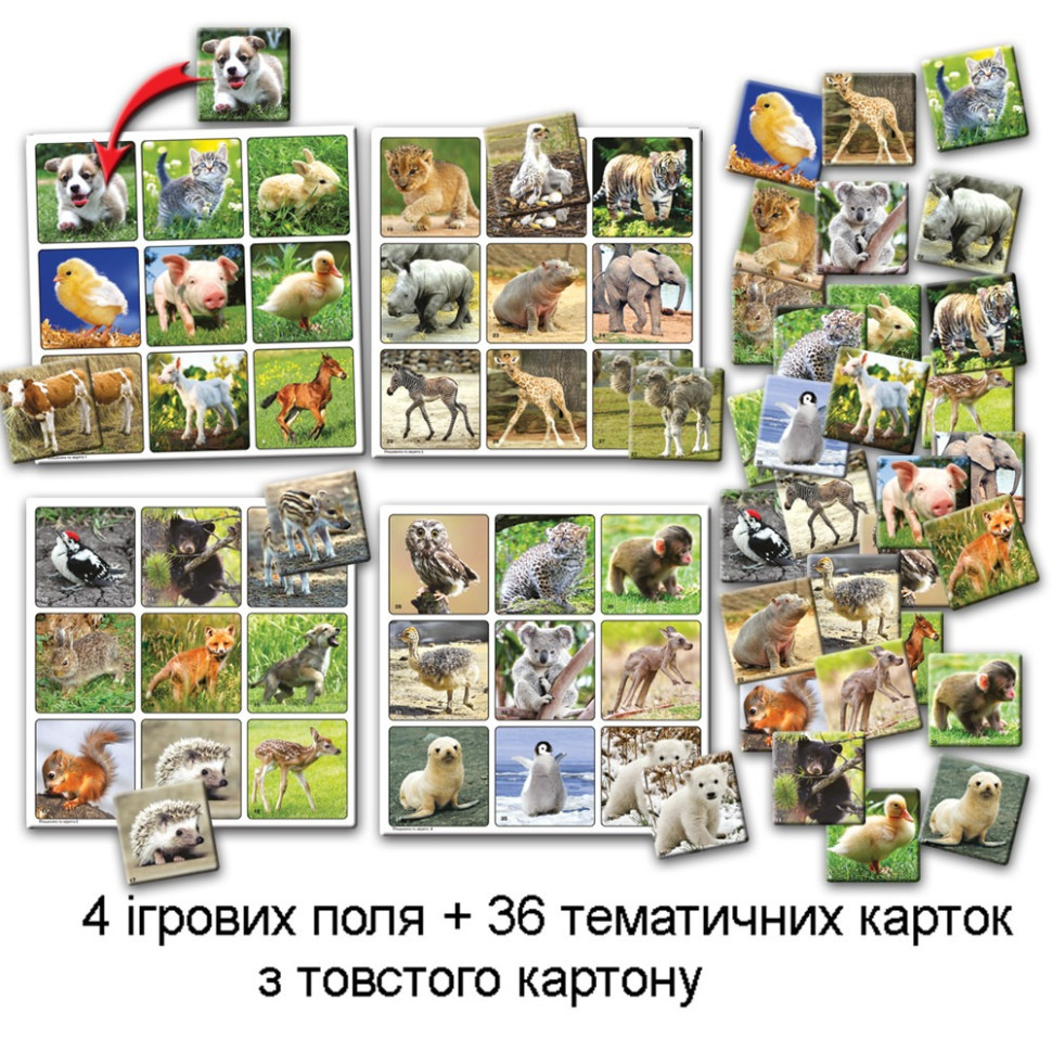 Настільна гра супер ЛОТО "Пташенята і звірята" 81985, 36 карток — фото 3