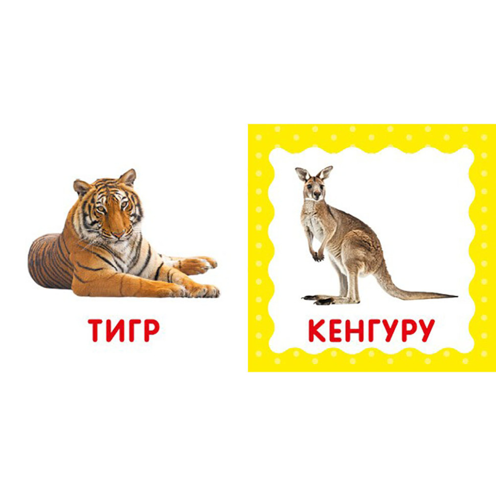 Перша книжка малюка "Дикі тварини" 165048 картон, 12 сторінок — фото 2