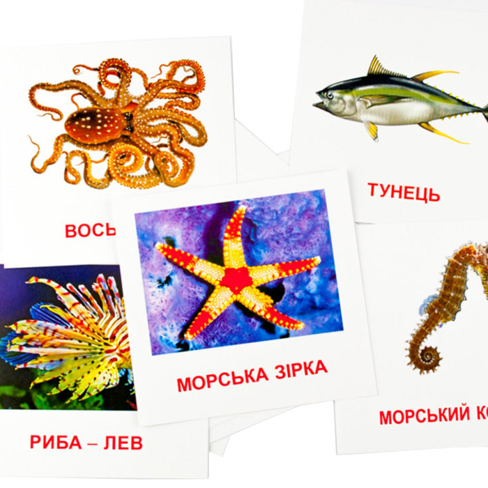 Розвиваючі картки "Морські мешканці" (110х110 мм) 72752 укр. /англ. мовою — фото 2