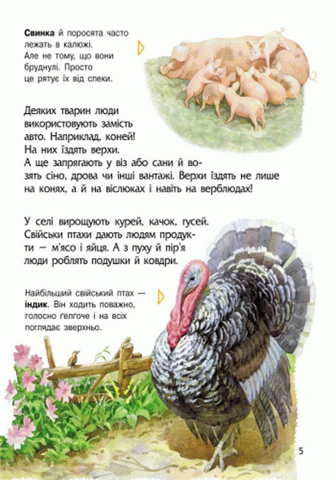 Детская энциклопедия про животных 614005 для дошкольников — фото 8