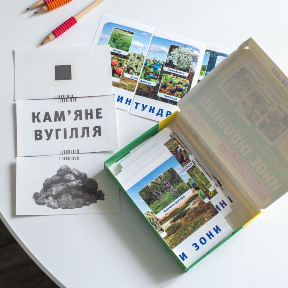 Набір тематичних карток "Природні зони" 13169002 для дітей 4-6 років — фото 8