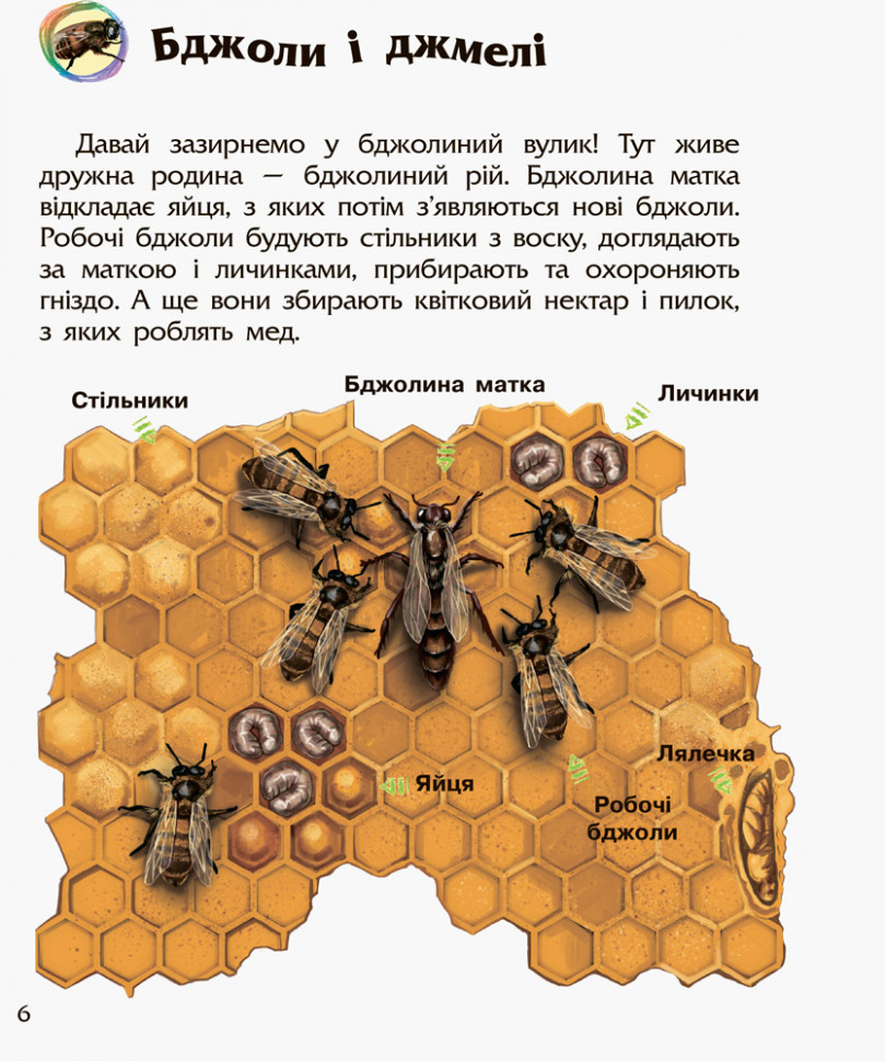 Дитяча енциклопедія про комах 614014 для дошкільнят — фото 3