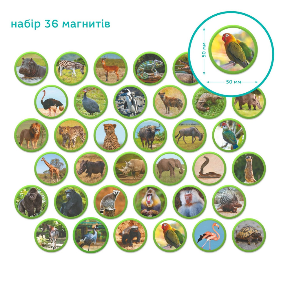 Дитячий магнітний набір Монтесорі "Тварини на континентах: Африка" 200284, 36 елементів — фото 7