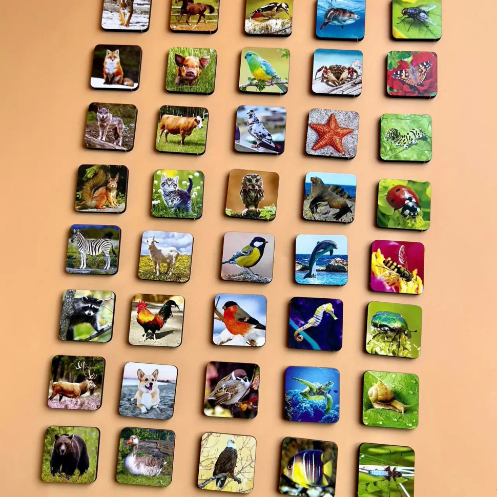 Настільна розвиваюча гра "Види тварин" Ubumblebees (ПСФ110) PSF110 комодик-сортер — фото 9