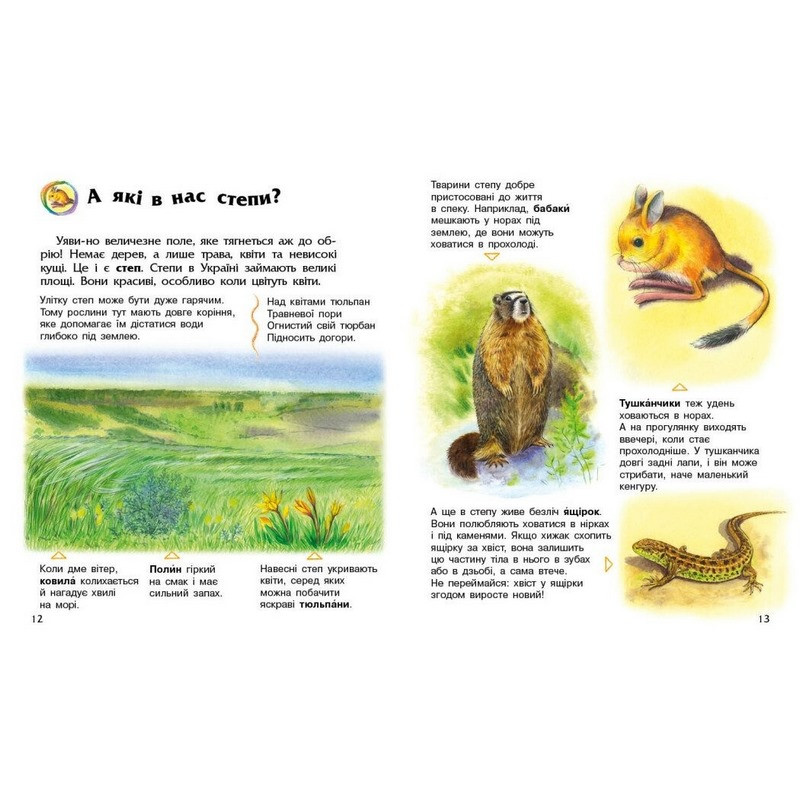 Дитяча книжка "Енциклопедія дошкільника. Україна" 614044 — фото 3