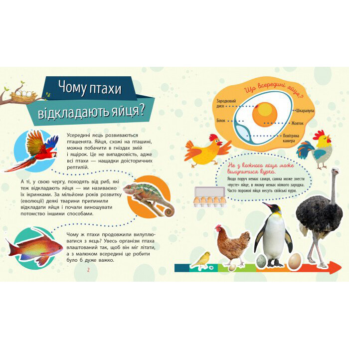 Навчальна книжка Чомусики "Тварини" 875008 запитання та відповіді — фото 3