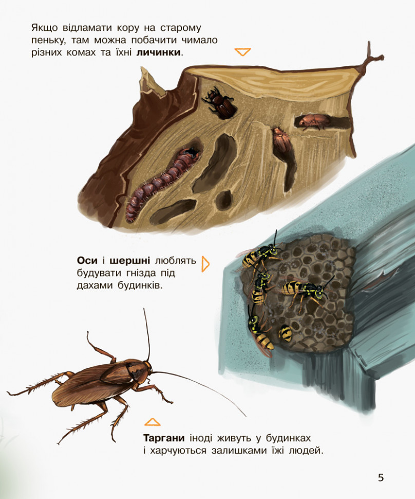 Дитяча енциклопедія про комах 614014 для дошкільнят — фото 4